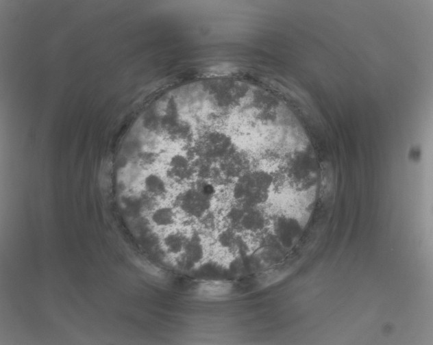 X0000116790369201001291524