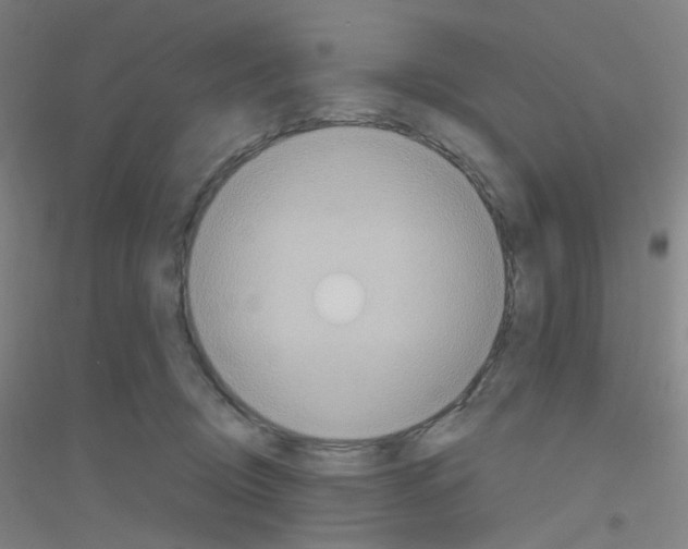 X0000116790370201001291524