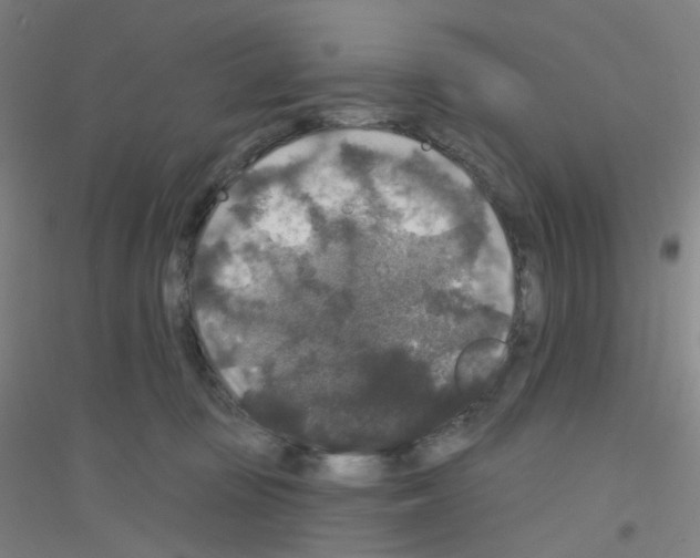 X0000116790371201001291524