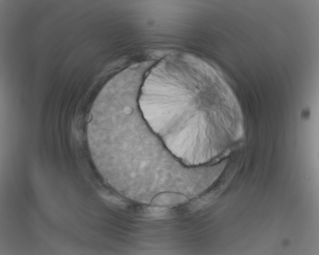 X0000116790377201001291524