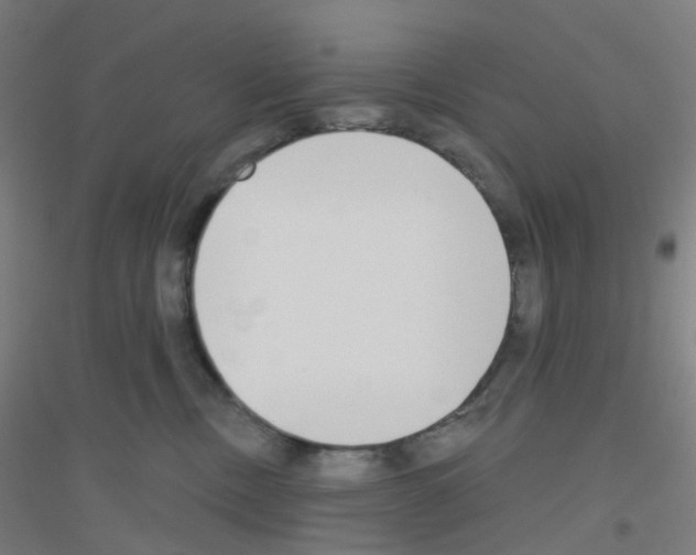 X0000116790378201001291524
