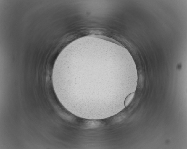 X0000116790379201001291524