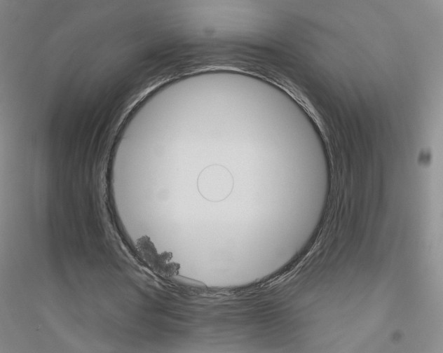 X0000116790386201001291523