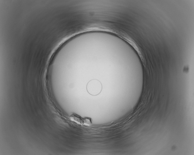 X0000116790387201001291523