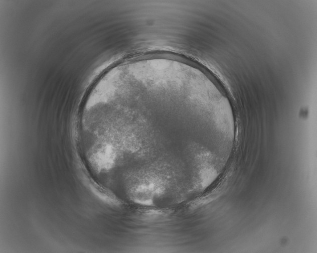 X0000116790390201001291523
