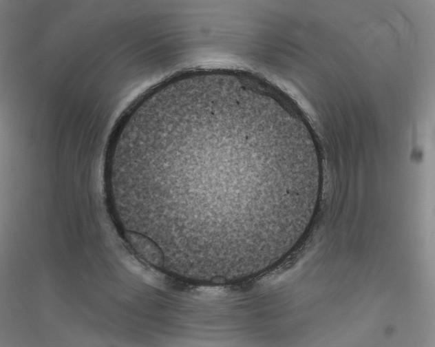 X0000116790391201001291523