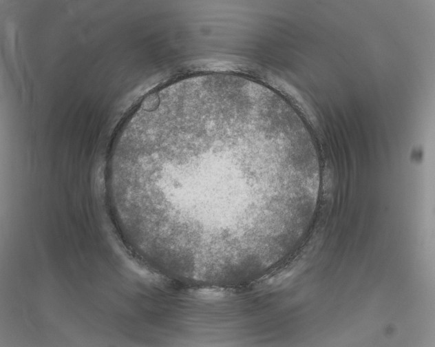 X0000116790394201001291523