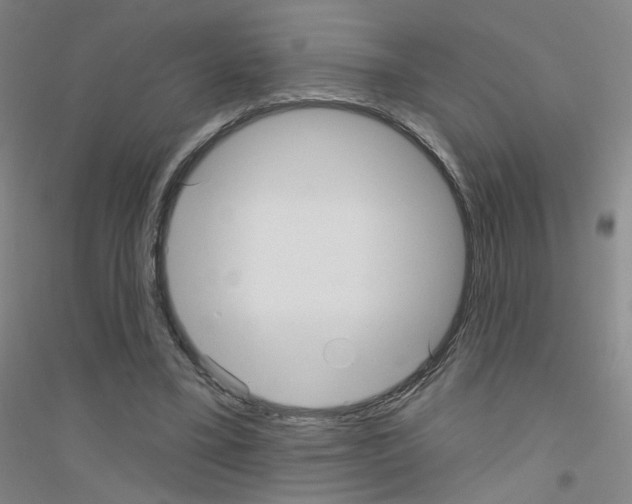 X0000116790395201001291523