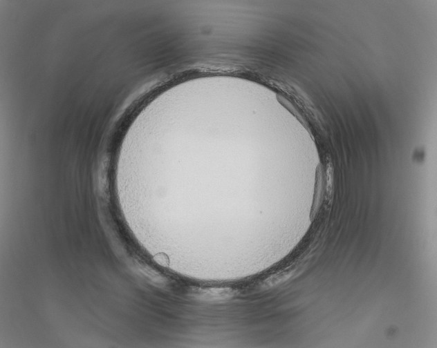 X0000116790396201001291523