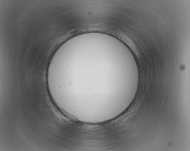X0000116790401201001291523
