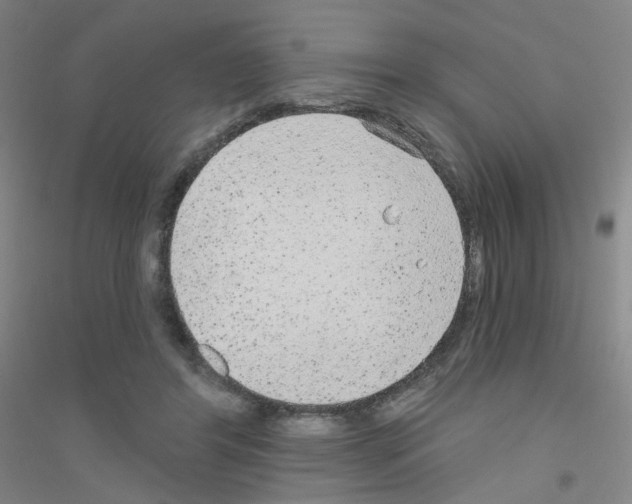 X0000116790404201001291523