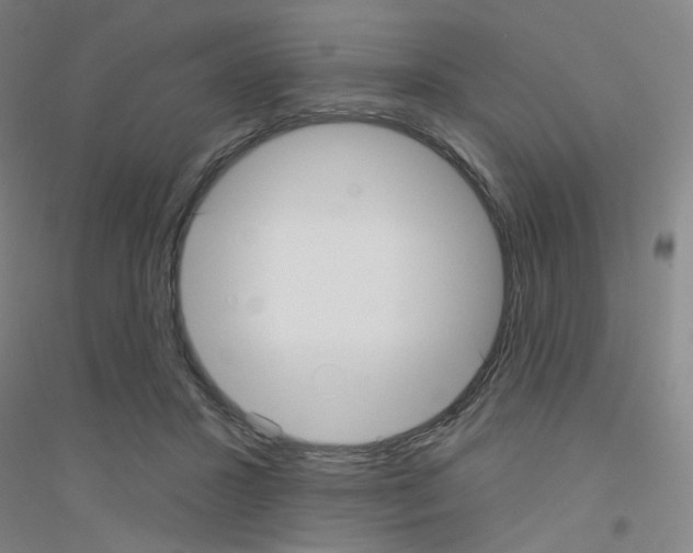 X0000116790407201001291523