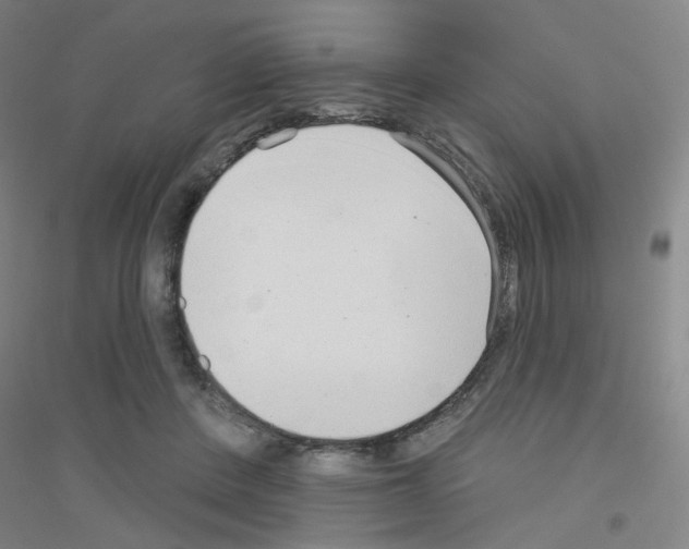 X0000116790408201001291523