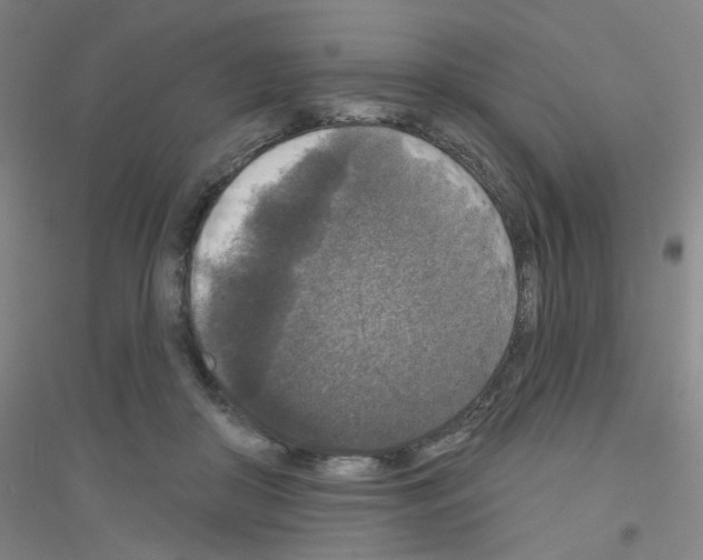 X0000116790410201001291523