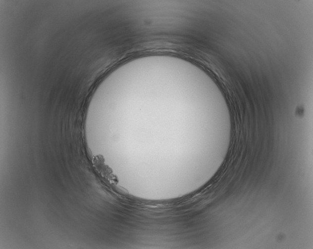 X0000116790411201001291523