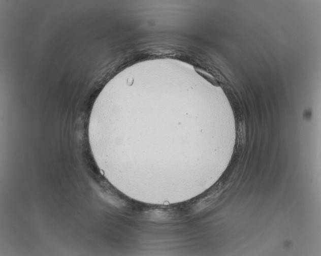 X0000116790412201001291523