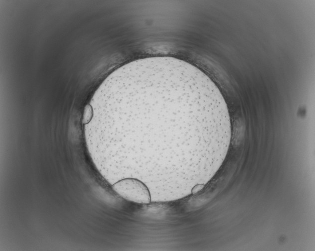 X0000116790414201001291523