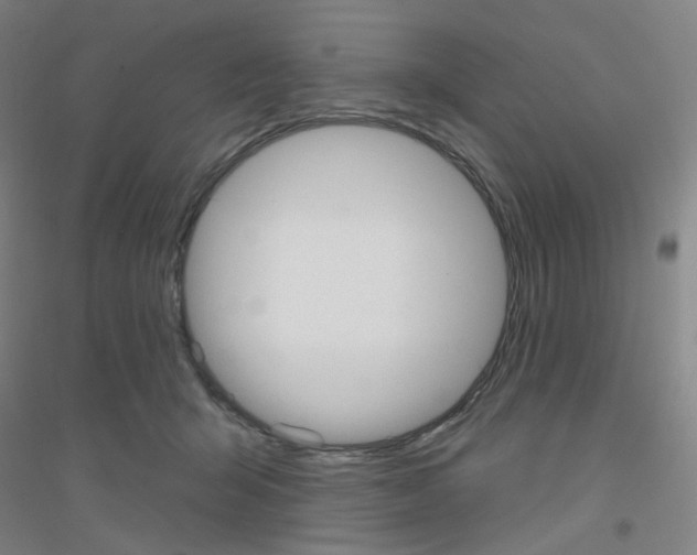 X0000116790415201001291523
