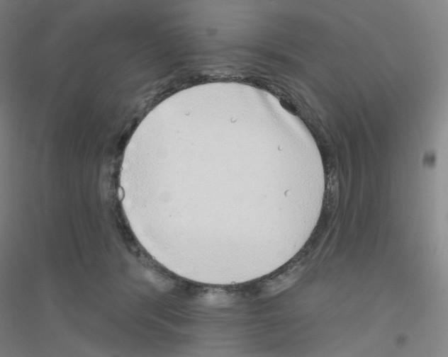 X0000116790416201001291523