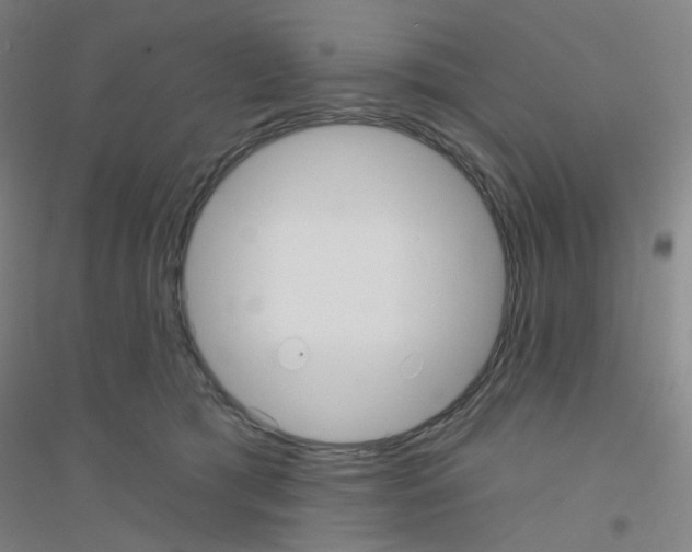 X0000116790417201001291523