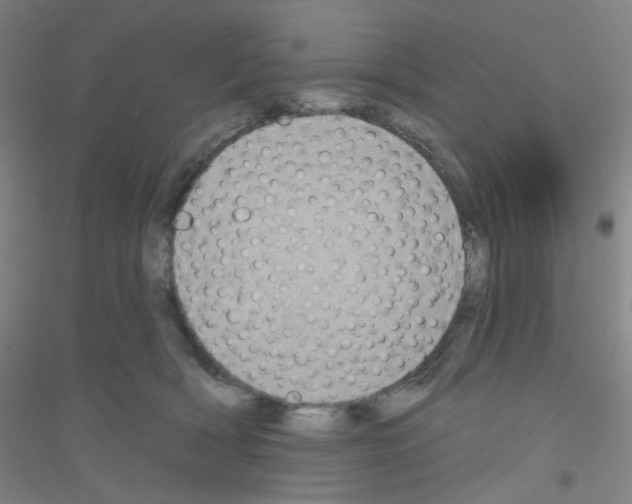 X0000116790418201001291523