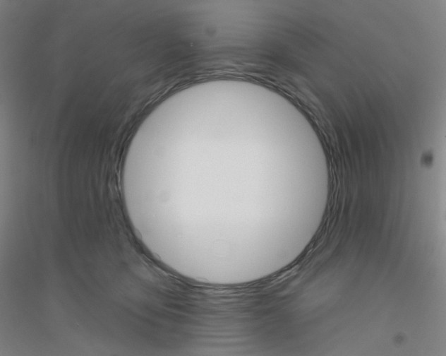 X0000116790419201001291523