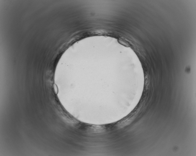 X0000116790421201001291523