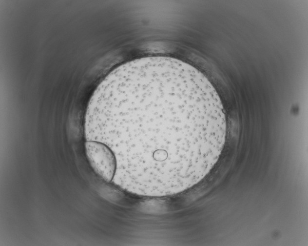 X0000116790422201001291523