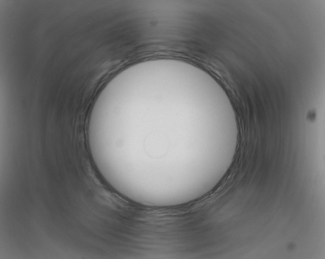 X0000116790423201001291523