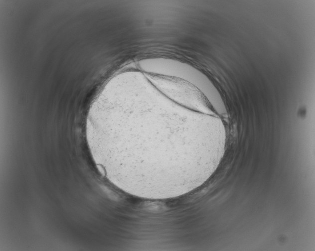 X0000116790424201001291523