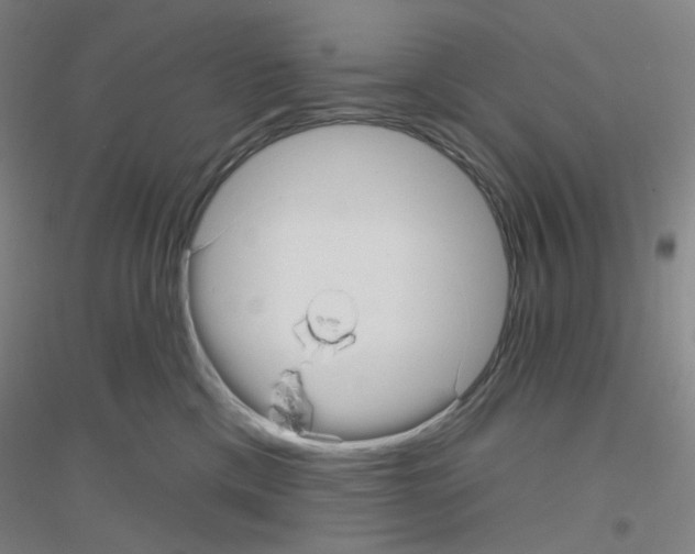 X0000116790425201001291523