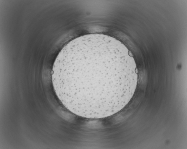 X0000116790426201001291523