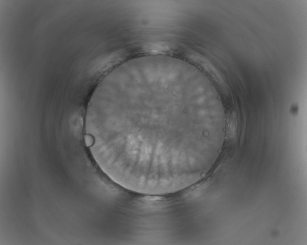 X0000116790427201001291523