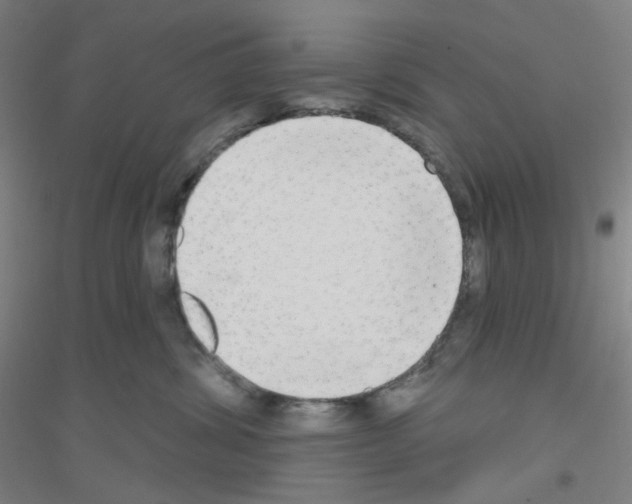 X0000116790428201001291522