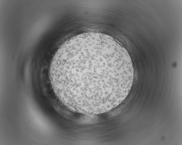 X0000116790429201001291522