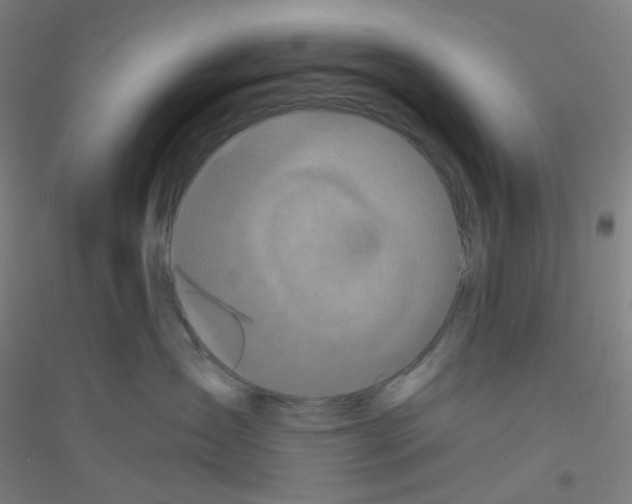 X0000116790431201001291522