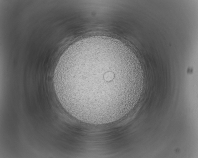 X0000116790432201001291522