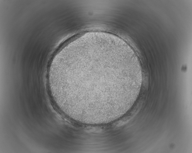X0000116790434201001291522