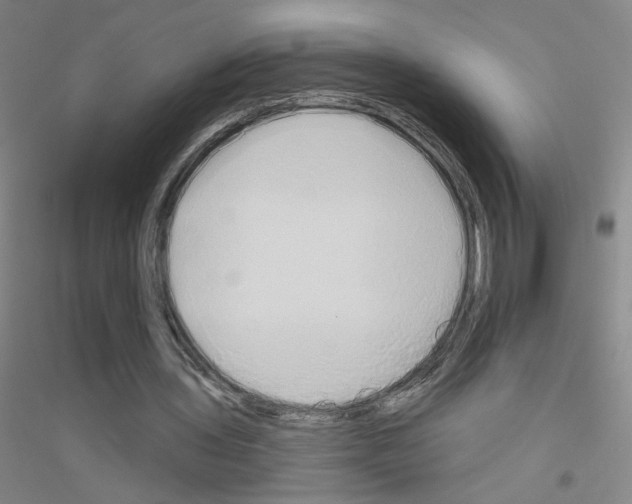 X0000116790435201001291522