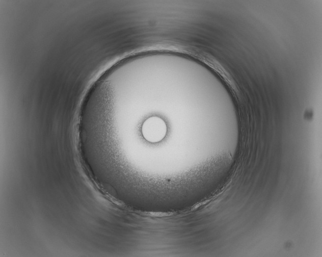 X0000116790436201001291522