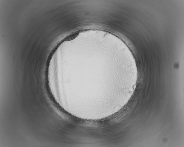 X0000116790437201001291522