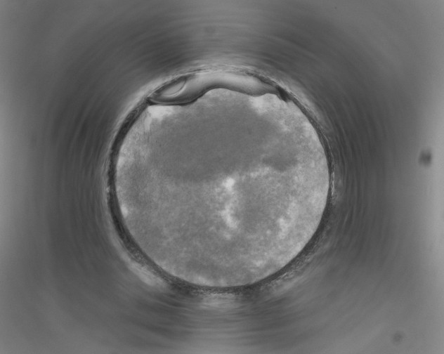 X0000116790438201001291522