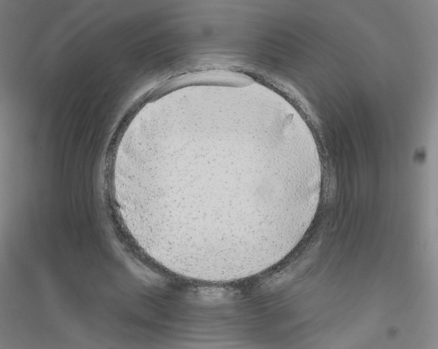 X0000116790439201001291522