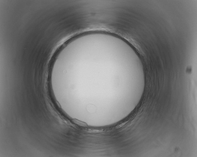X0000116790440201001291522