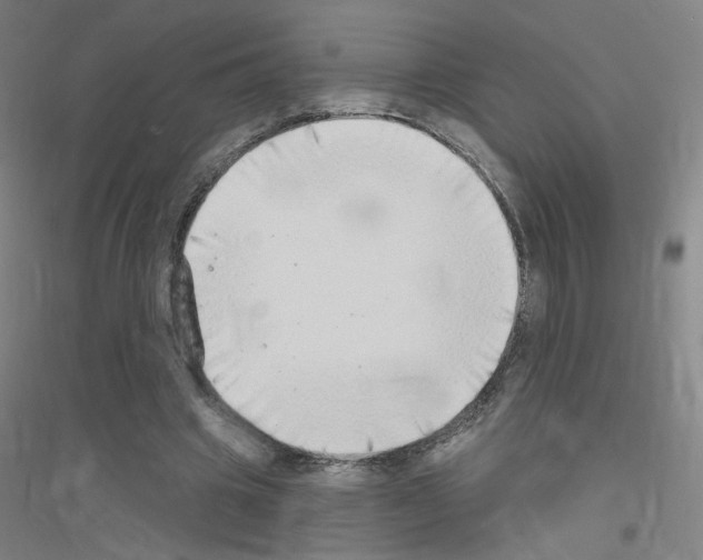 X0000116790441201001291522