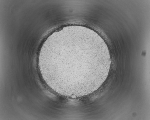 X0000116790442201001291522