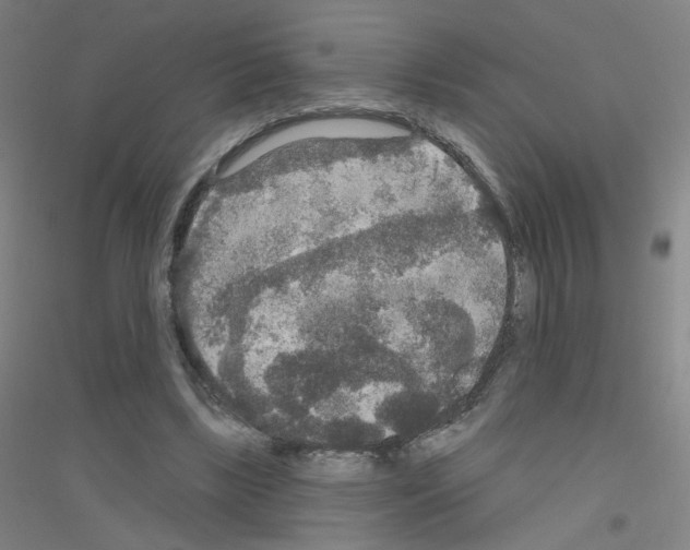 X0000116790443201001291522
