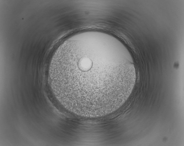 X0000116790444201001291522