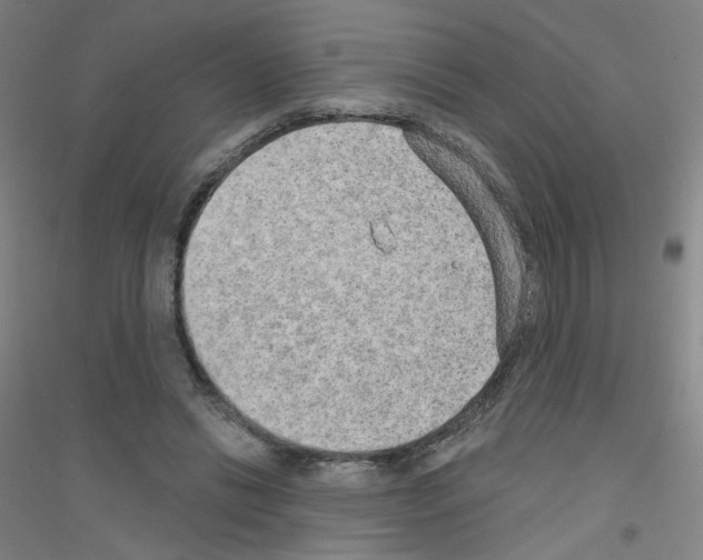 X0000116790446201001291522