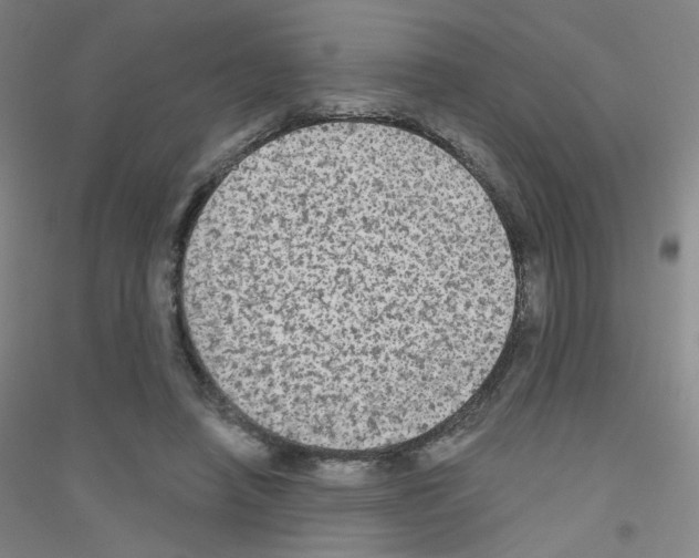 X0000116790450201001291522